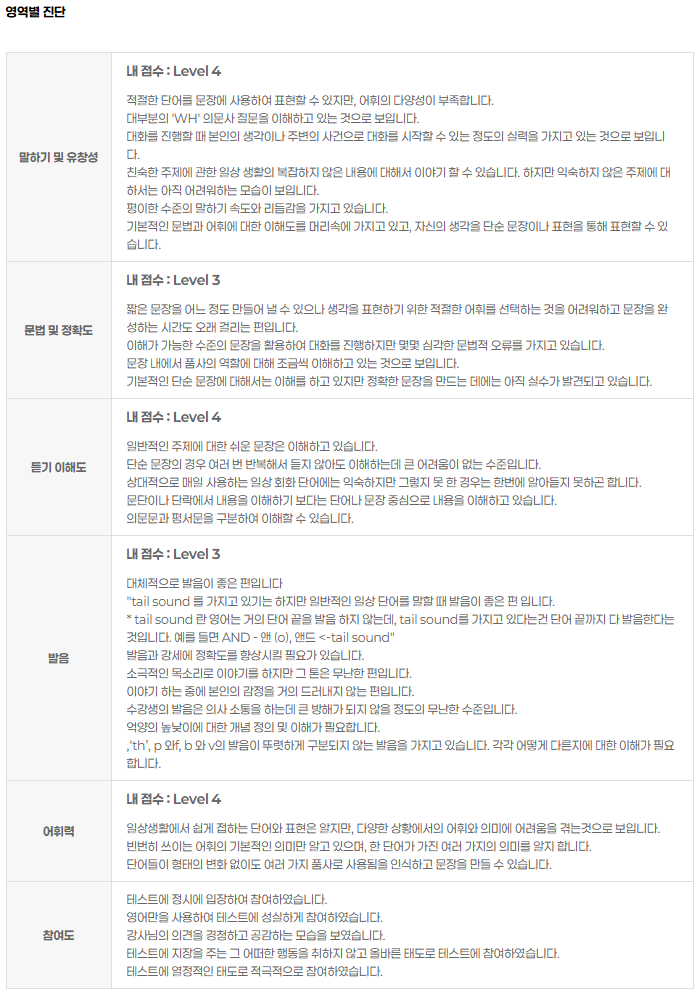 말하기, 문법, 듣기, 발음, 어휘력 영역별 진단표