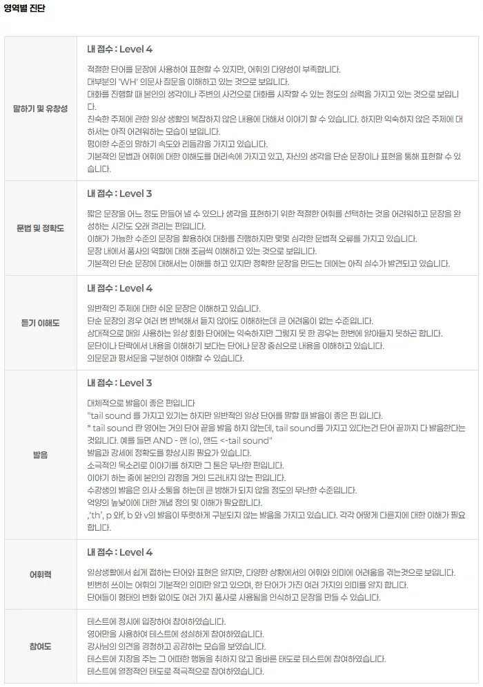 말하기, 문법, 듣기, 발음, 어휘력 영역별 진단표